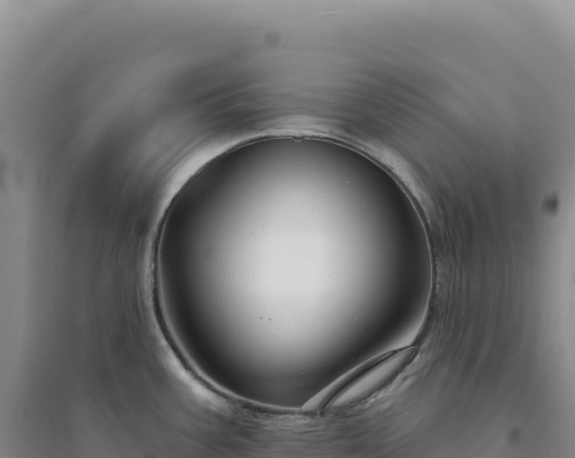 X0000094381387200711091551