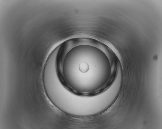 X0000094381388200711091551