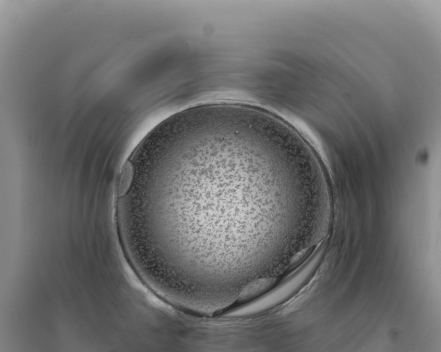 X0000094381390200711091551