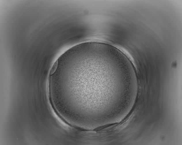 X0000094381391200711091551