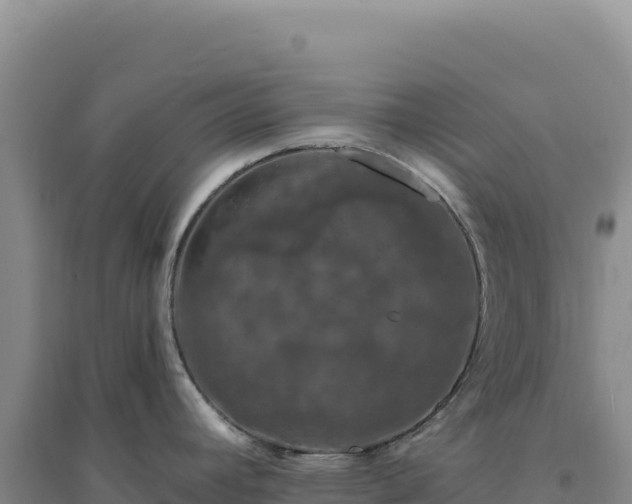 X0000094381392200711091551
