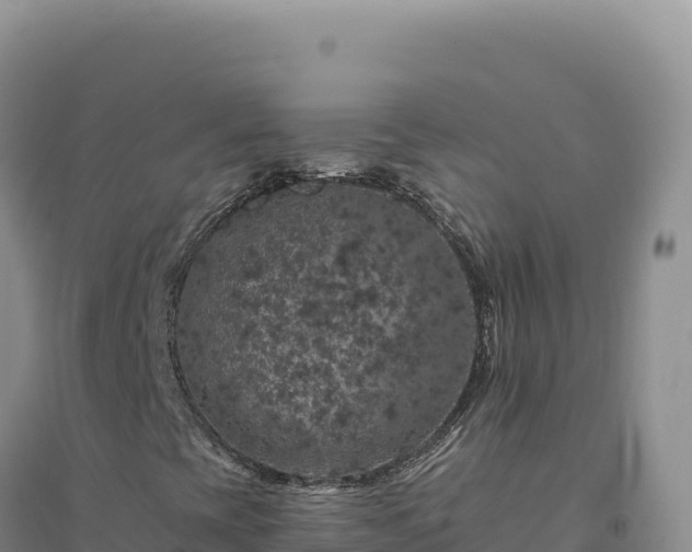 X0000094381393200711091550