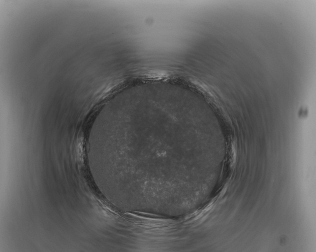 X0000094381394200711091550