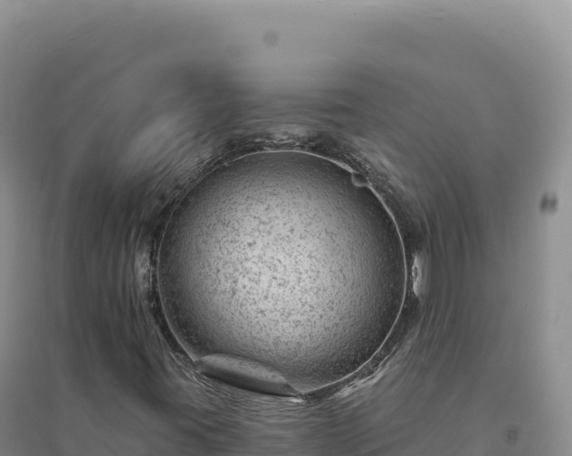 X0000094381395200711091550