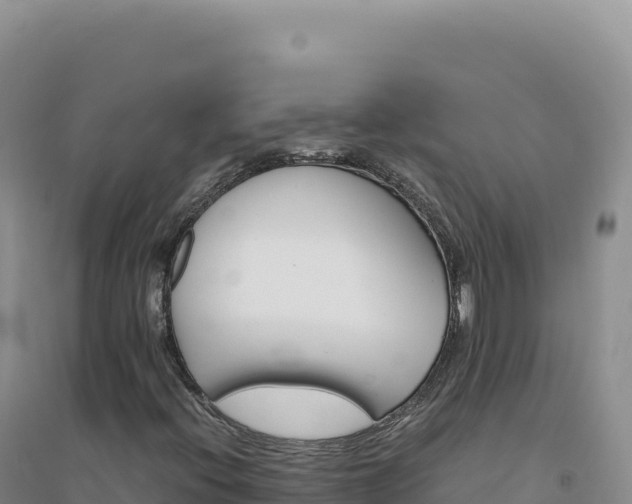 X0000094381396200711091550