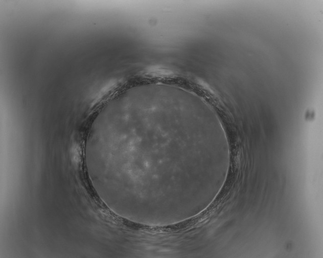 X0000094381397200711091550