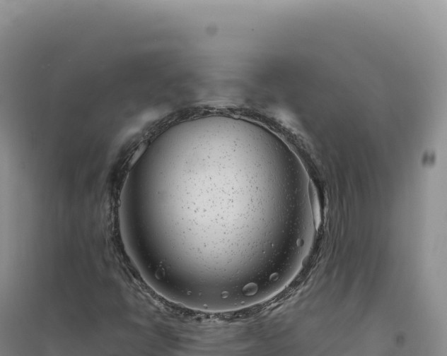 X0000094381398200711091551