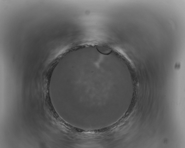 X0000094381399200711091551