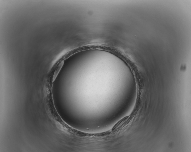 X0000094381400200711091551