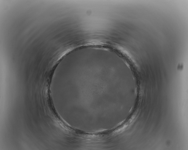 X0000094381401200711091551