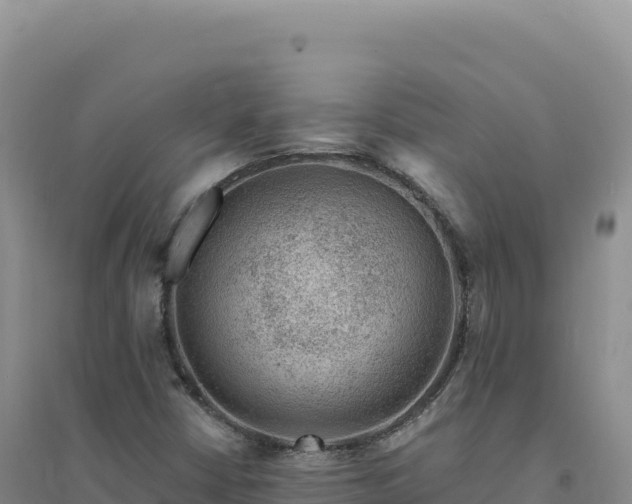 X0000094381402200711091551