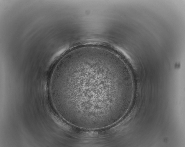 X0000094381403200711091551