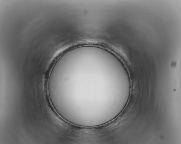 X0000094381404200711091551