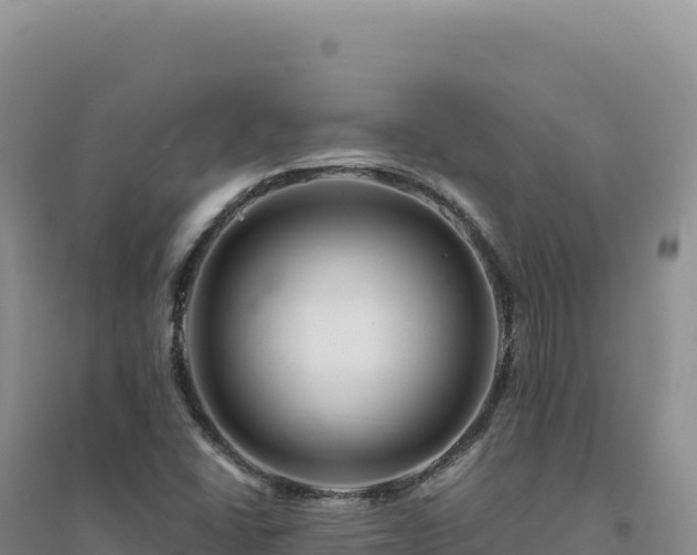 X0000094381406200711091551