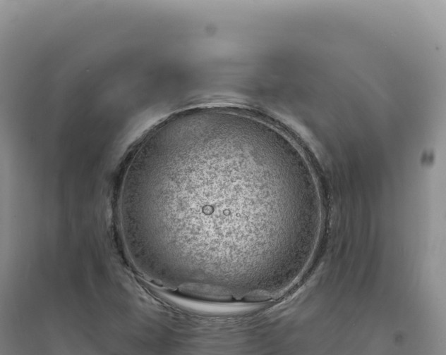 X0000094381407200711091551
