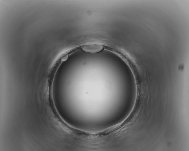 X0000094381408200711091551