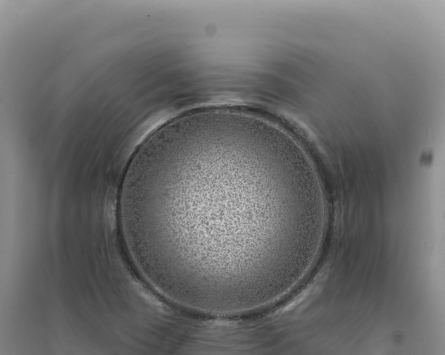 X0000094381409200711091551