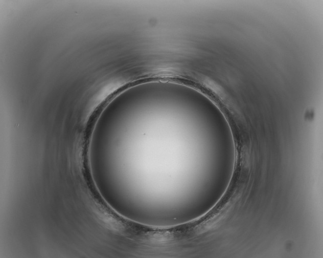 X0000094381410200711091551