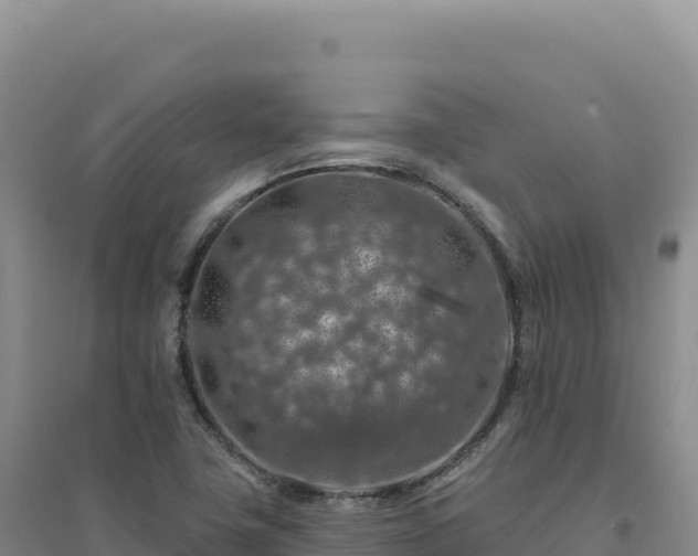 X0000094381411200711091551