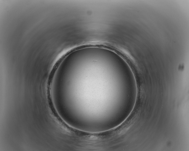 X0000094381412200711091551