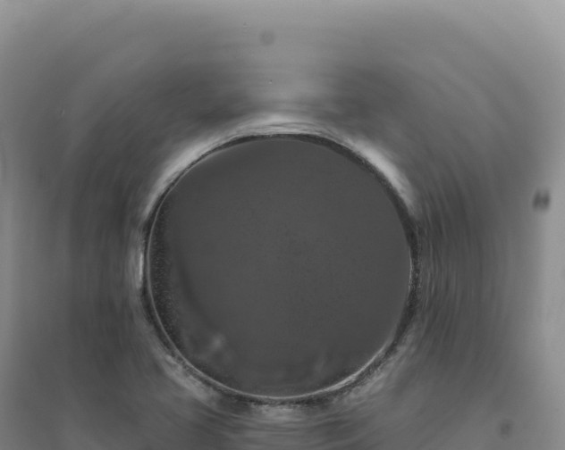 X0000094381413200711091551