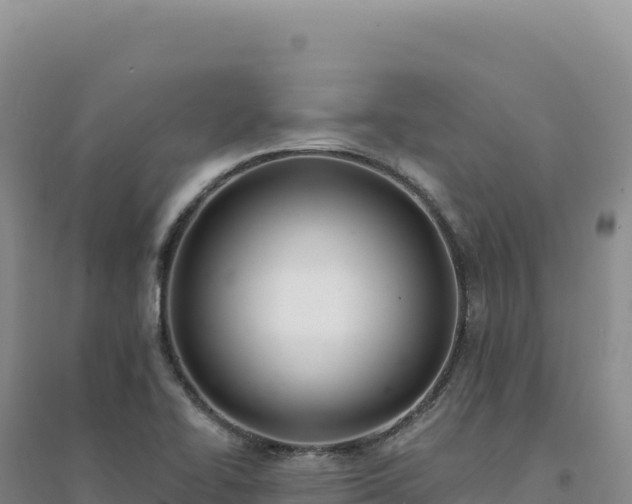 X0000094381414200711091551