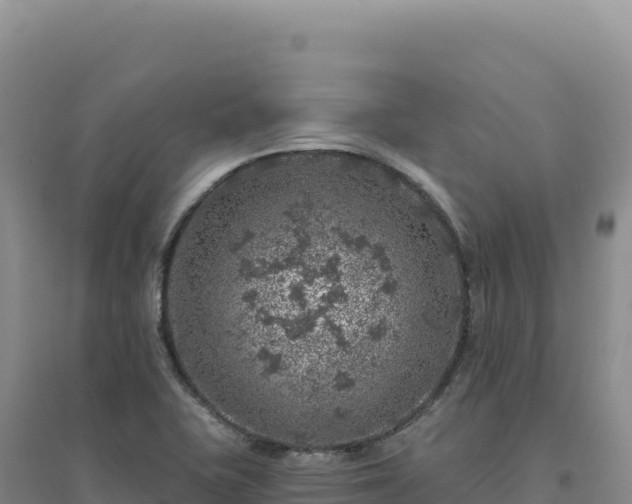 X0000094381415200711091551