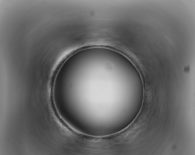 X0000094381416200711091551