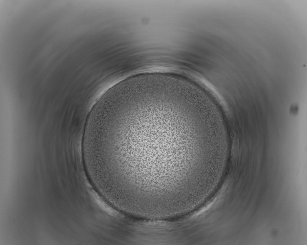 X0000094381417200711091551