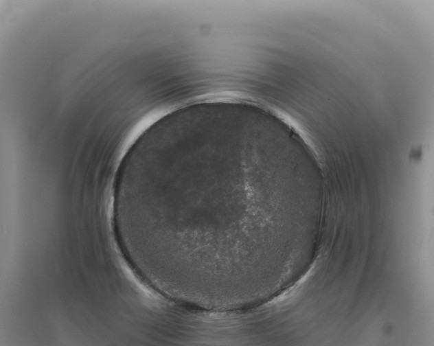 X0000094381418200711091551