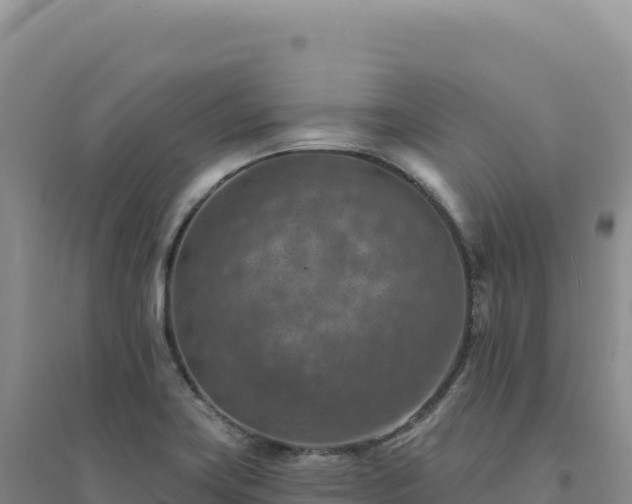 X0000094381419200711091551