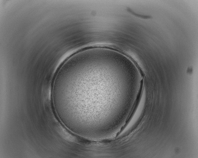 X0000094381420200711091551