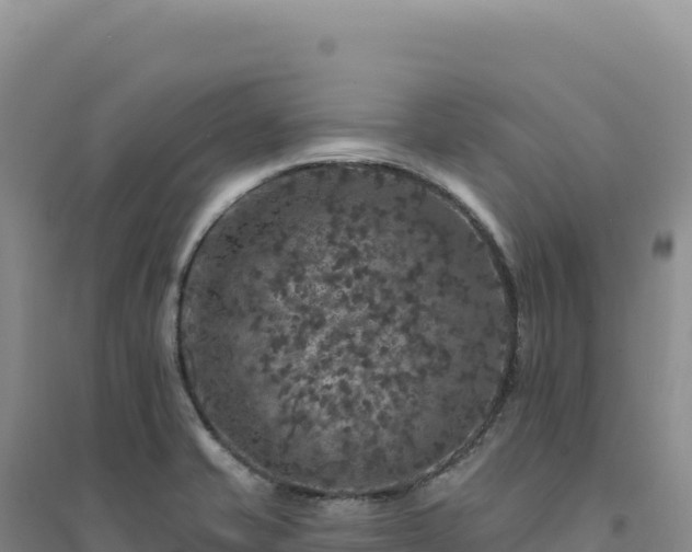X0000094381421200711091551