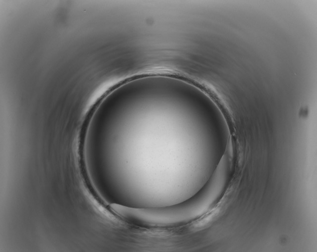 X0000094381422200711091551