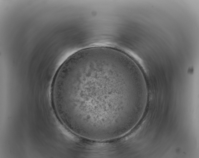 X0000094381423200711091551