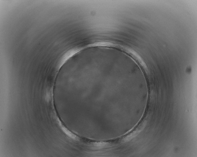X0000094381425200711091551