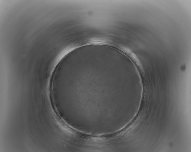 X0000094381427200711091551