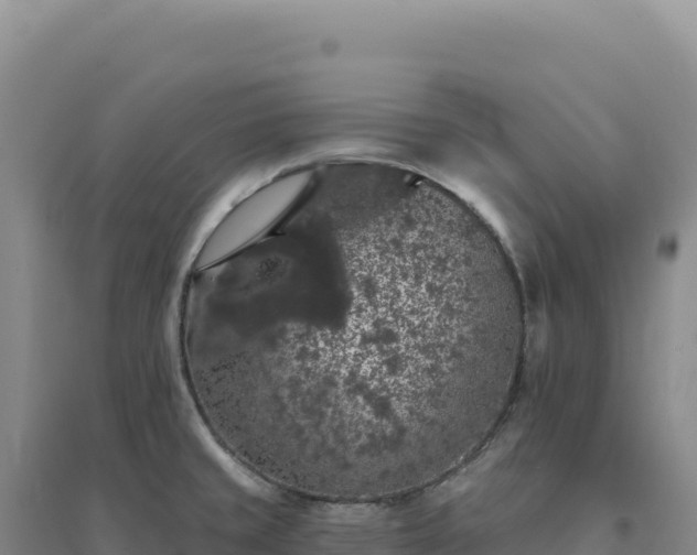 X0000094381429200711091551