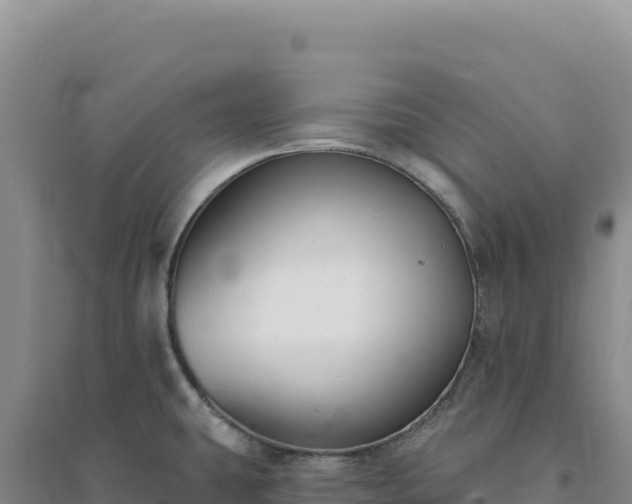 X0000094381431200711091551