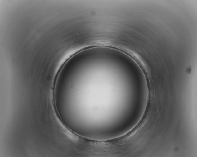 X0000094381432200711091551