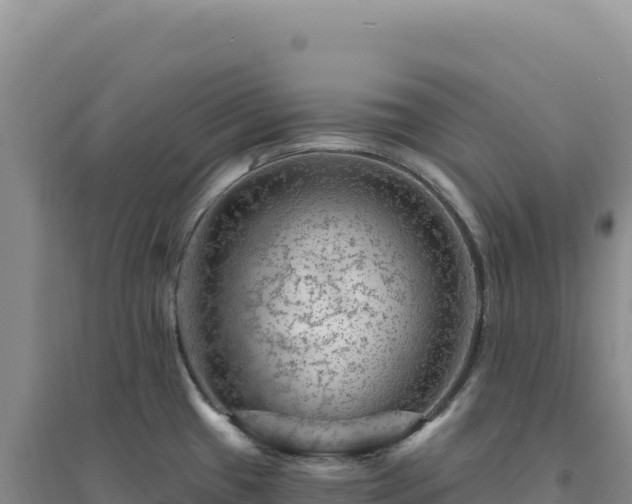 X0000094381433200711091551