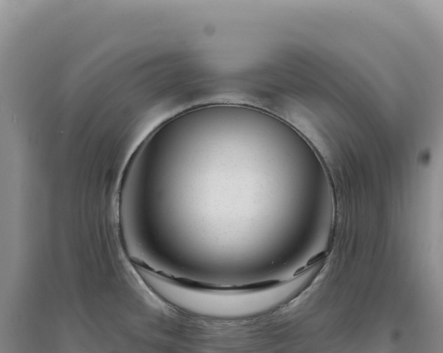 X0000094381436200711091551