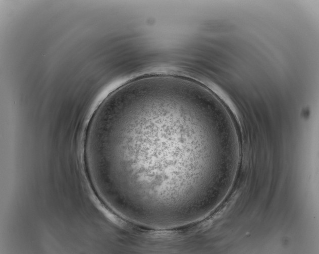 X0000094381437200711091551
