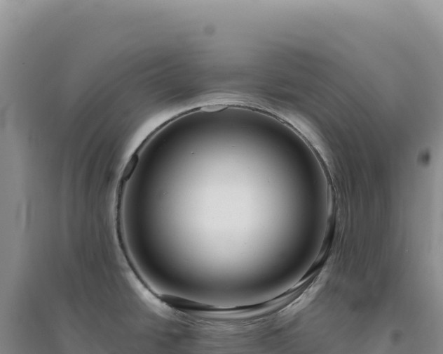 X0000094381438200711091551
