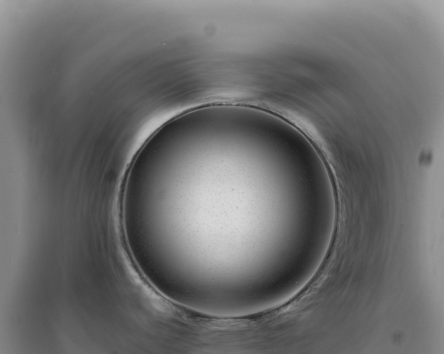X0000094381440200711091551