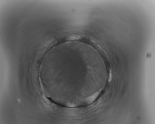 X0000094381441200711091550