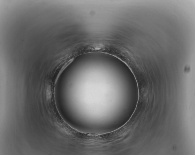 X0000094381442200711091550