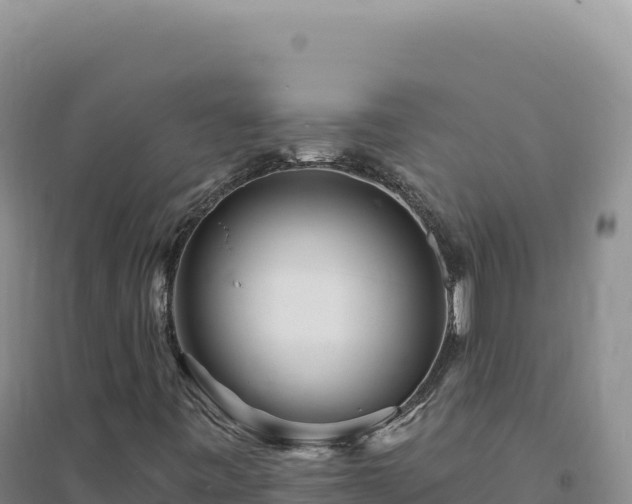 X0000094381443200711091550
