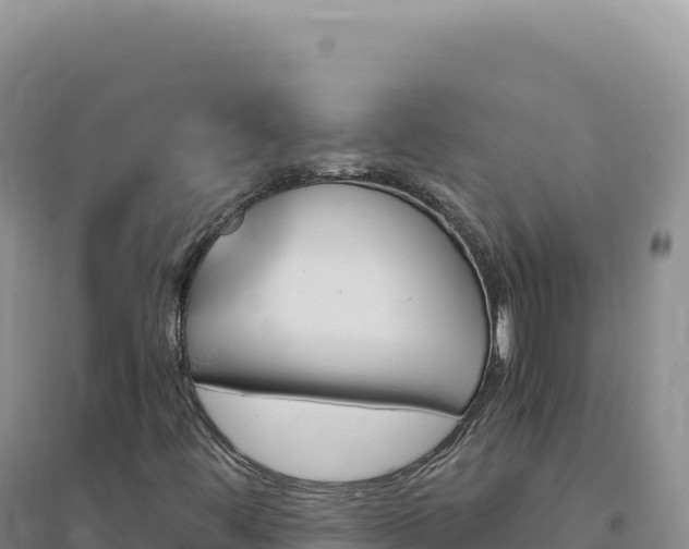 X0000094381444200711091550