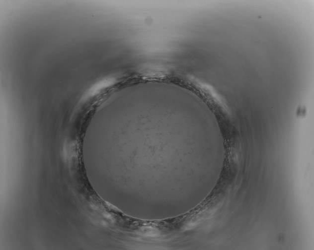 X0000094381445200711091550
